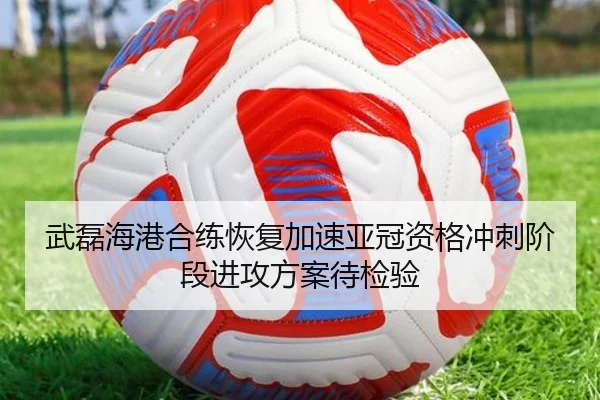 武磊海港合练恢复加速亚冠资格冲刺阶段进攻方案待检验